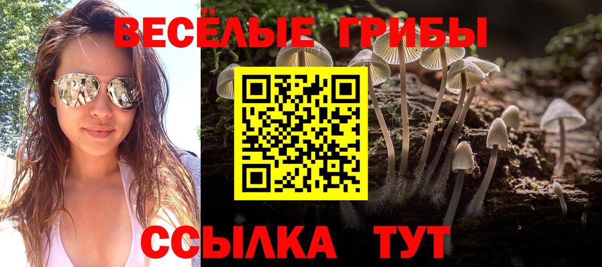 LSD-25 Братск
