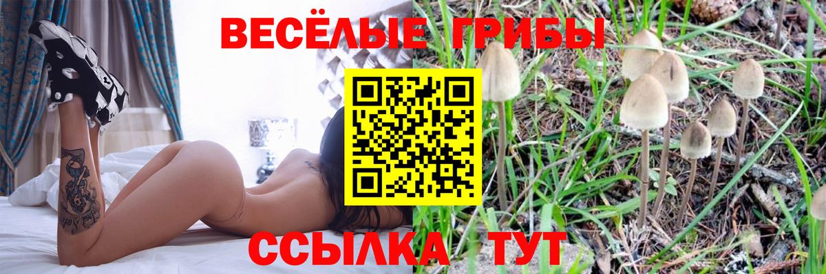 Братск  Галлюциногенные грибы Psilocybine cubensis  Галлюциногенные грибы мицелий  Вход с VPN 